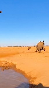 What this 😳😳 | Wheezy Bravo