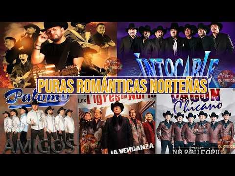 Puras Norteñas Viejitas Pero Bonitas 2026 - Pesado, Intocable, Palomo, Duelo, Vagón Chicano y Mas