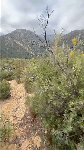 Hiking to Montecito Hot Springs