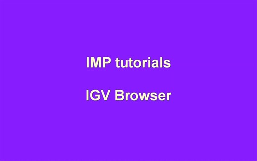 P15 IMP - IGV Browser