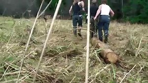 Tomorrow night on #AlaskanBushPeople, Dad's sick...and Bear can fly! | Alaskan Bush People