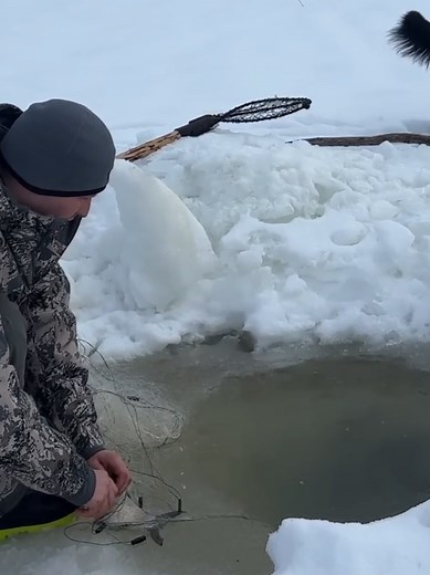 ACTIVE FISHNING (@active_fishning)’s videos with оригинальный звук - ACTIVE FISHNING