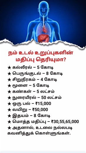 Human Body Parts Value Explained | How Valuable Is Your Body?