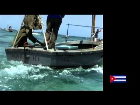 Francis Alÿs Bridge/Puente (making of)