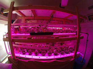 Building a Geothermal Greenhouse — Hive