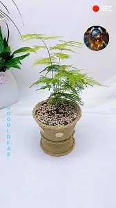 993K views · 17K reactions | Handmade diy plastic bottles pot home tutorial #goodideas #fbreelsfypシ゚ #fypviralシ #reelsviralfb #fypageシ #trendingreelsvideo #fypシ゚ #virals #reelsviralシ | Good Ideas | Facebook