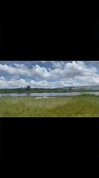 https://www.messiahsafaristours.com.#nature, #naturelovers ,#wildlife #tourism #news for big five