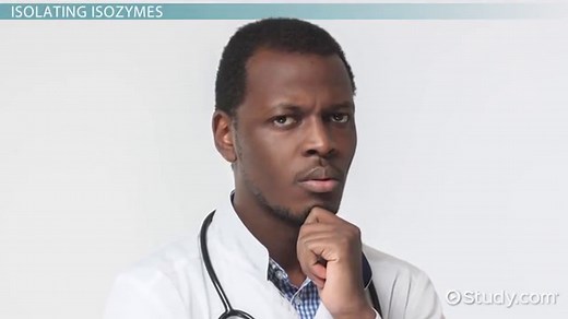 Isozymes | Definition, Importance & Examples