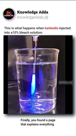 Knowledge Adda on Instagram: "Luminol (C₈H₇N₃O₂) is a chemiluminescent compound that emits blue light when it undergoes an oxidation reaction. ✨ When injected into a 10% bleach solution, the sodium hypochlorite (NaOCl) in bleach acts as a strong oxidizing agent, converting luminol into an excited intermediate called 3-aminophthalate. As this intermediate returns to its ground state, it releases energy in the form of visible blue light — a process known as chemiluminescence. This same reaction pr