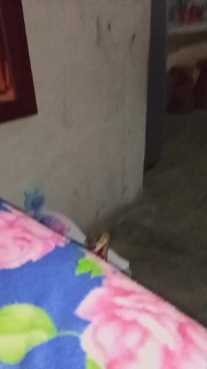 Videos de Lía ponce (@lia.ponce23) con “sonido original - Elia Yulissa”