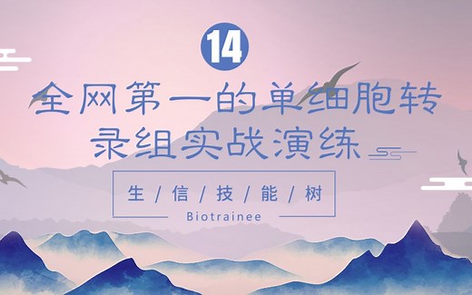 #完整版视频上线！全！面！免！费！#全网第一的单细胞转录组实战演练