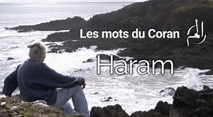 371K views · 3.6K reactions | Un grand merci à tous qui m'encouragez, vous êtes déjà si nombreux ! Je poste à nouveau la vidéo de "Haram", où les petits problèmes de son ont été corrigés en attendant la semaine prochaine où je vous parlerai du Munafiq, de l'hypocrite. À bientôt et encore merci de votre accueil ! | Jacqueline Chabbi - Les mots du Coran | Facebook