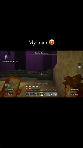 Celebrating Help and Friendship in Minecraft