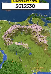 Perfect Minecraft cherry grove seed!