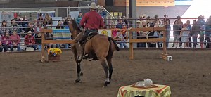 Seth Marshall on Vozarron AR competing in the 2025 Working Equitation Challenge At the Midwest Horse Fair in Madison Wisconsin Congratulations Seth for taking first in Dressage, EOH, and placing first overall in this extraordinary WE demonstration competition! USAWE AO The Sunrise Ranch - coordinator of the WE Challenge | Adrienne Dymesich