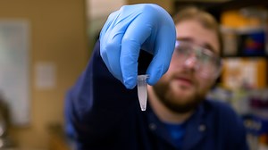 Using Expansion Microscopy to Physically Enlarge Whole-Mount Drosophila Embryos for Super-Resolution Imaging