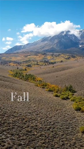 Autumn looks like 🍂🍁😍 June Lake Loop is seeing some beautiful colors on the north end! Check them out before they’re gone. Make sure to sign up for our newsletter for the full report. | Visit Mammoth