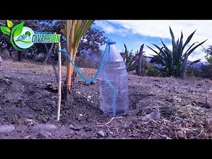 Sistema de Riego Automatico Casero