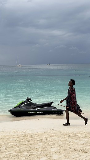 Zanzibar sea turtles: best places to see turtles in Africa