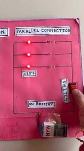Series Circuit | Parallel Circuit | Science Project | Physics Project #diy #schoolproject