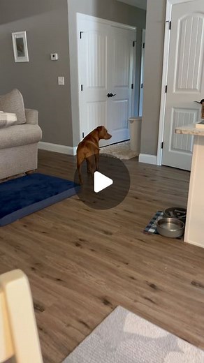 Tatum Talks on Instagram: "I got up for nuffin. #tatumtalks"