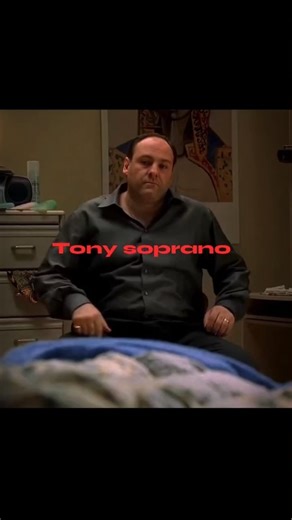 Robert | 🧠 Tony Soprano (Character) Show: The Sopranos (1999–2007) Role: Boss of the DiMeo crime family (New Jersey) Who he is: Tony Soprano is a... | Instagram