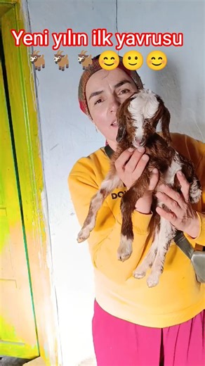 TRT documentary: Esme's tiny, very cute first baby of the new year 🐐🐐🐐❤❤❤❤❤😊😊😊