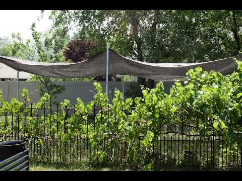 Affordable shade cloth project that actually works