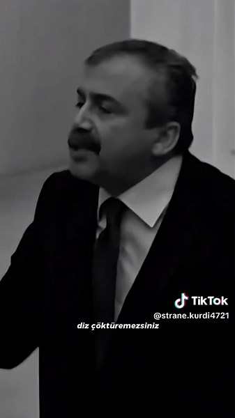 Sırrı Süreyya Önder'in Meclis Konuşmaları ve Kürtçe
