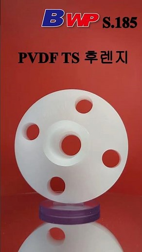 PVDF 후렌지. PVDF TS 후렌지. PVDF TS Flange. BWP