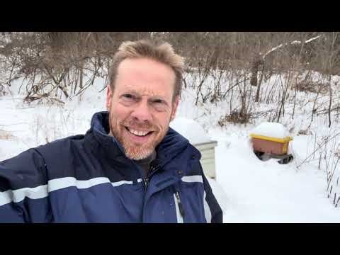 Beekeeping trick: Using a borescope camera to check beehives during extreme cold - 02/03/26