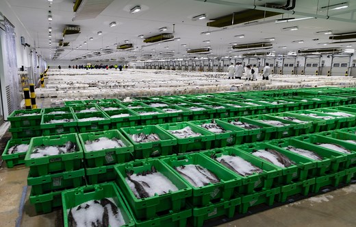 Fish Market | Peterhead Port Authority - Europe's Largest Fishing Port