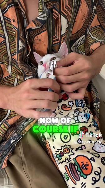 Breathable Cat Grooming Wrap for Easy Nail Trims