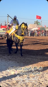 عشاق الفخامة 🐴❤️ racecheval #arab_barbe #frison# امثال_شعبية_مغربية# #arabebarbe #horse #beauty #ridingahorse #équitation #equitationwestern#horselovers #eyeshadow #colors #photoshopexpress #tbourida #love #horsestagram #horseshows #feelings #التبوريدة_المغربية_الأصيلة #الثرات_المغربي_الأصيل ا 4 #حصان #الادهم #السربة #فرسان_المغرب#horse #horses #horsesofinstagram #equestrian #horseridingclothes | Elhaj Elhaj