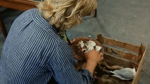 Turks fruit (1973) ENG SUBS