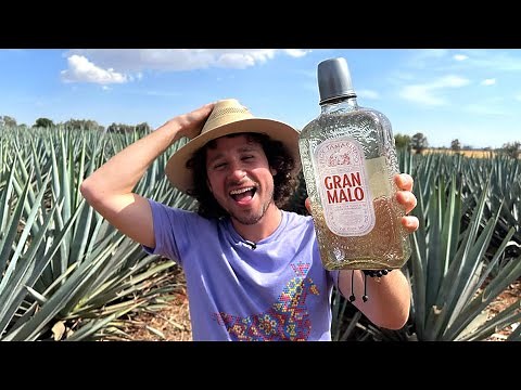 GRAN MALO: Tamarind flavored tequila | How is it made and why is it SO DELICIOUS? 🤤🥃