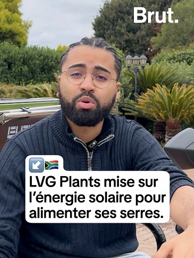 LVG Plants Afrique du Sud : cultures solaires pour une transition énergétique