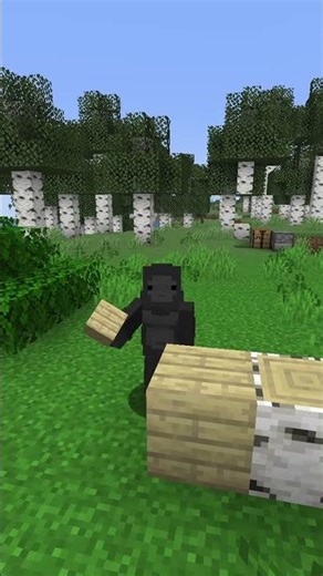 Dia5 sin novia #minecraftshorts #humor #minecraftmeme