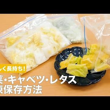 おいしく長持ち！ 白菜・キャベツ・レタス 冷凍保存方法