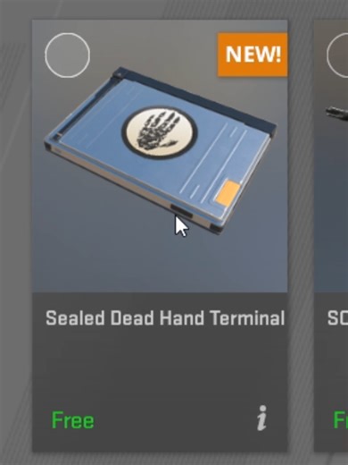 Unboxing the New Sealed Dead Hand Terminal in CS2
