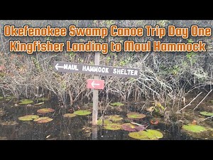 Okefenokee Swamp Canoe Trip Day One Kingfisher Landing to Maul Hammock