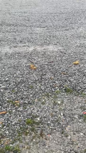 Used equipment for sale ! | Garner's Landscaping, Lawn Care and Equipment Sales & Service