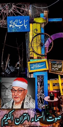 تلاوات الشيخ السيد سعيد