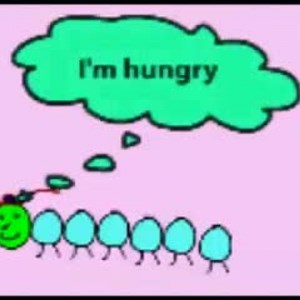 Very Hungry Caterpillar