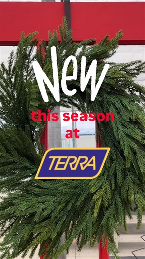 NEW this Holiday season at TERRA… We’ve added WREATHS to our CUSTOM design services! Choose your wreath style, choose your accents, and our designers can create your wreath for you. You’ve loved our Custom Planter program for years - now your wreath can perfectly pair with the look you love, too.  Visit our Greenery Markets in all TERRA locations now! | Terra - Where Colour Lives | Facebook