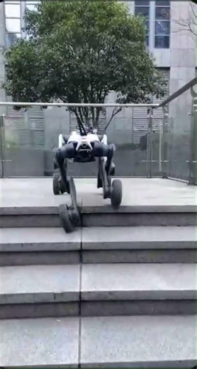 From Security to Pet Sitting: The Wild Versatility of AI Robot Dogs