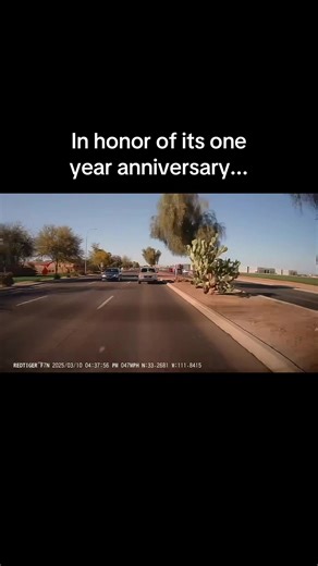 Dashboard Gripping Moment: A Car Crash You Won't Forget