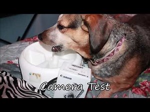 Canon Powershot ELPH 180 Review US 2019