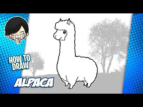 How to draw Alpaca step by step