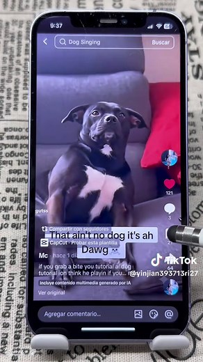 If You Grab a Bite: AI Dog Meme Tutorial Template